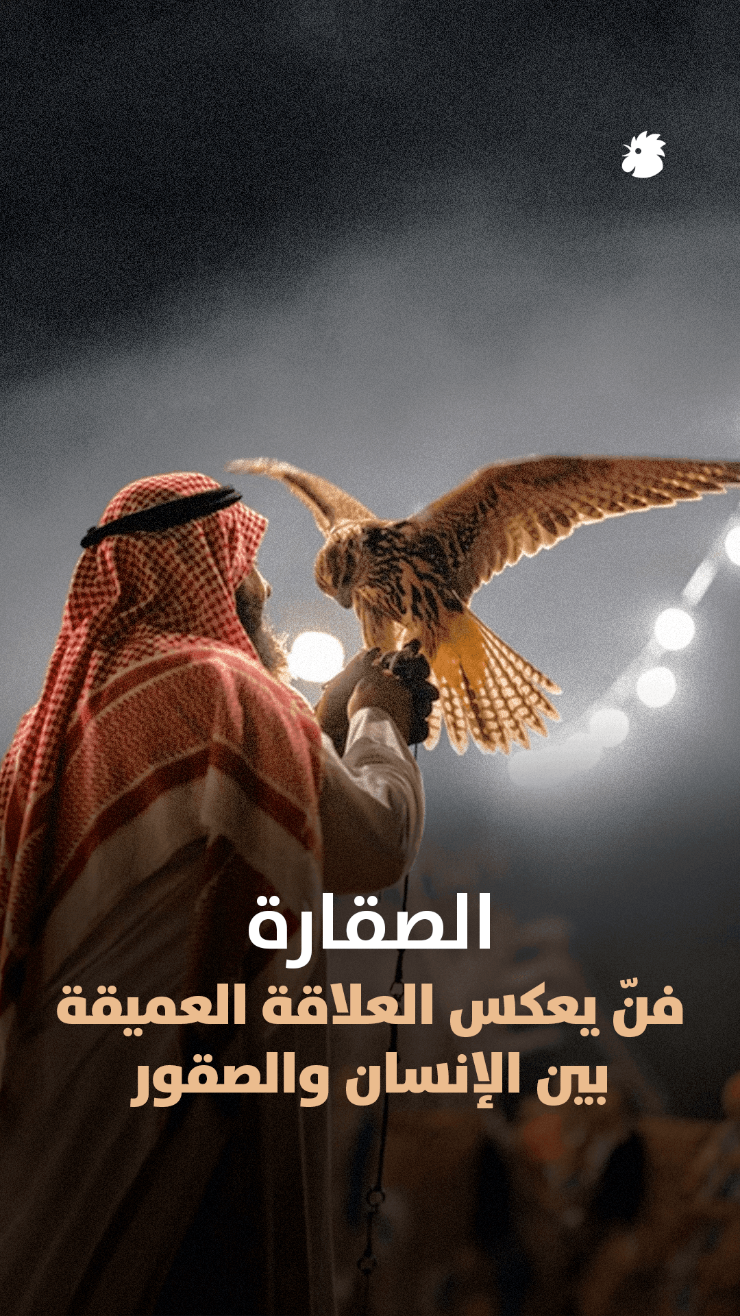 الصقارة... فنّ يعكس العلاقة العميقة بين الإنسان والصقور